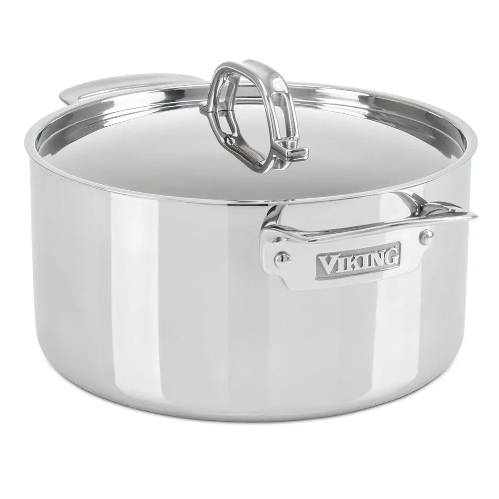 Stainless Steel 6 Qt. Stock Pot